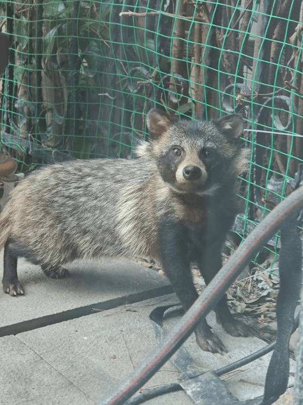 皇冠信用网在线申请_上海一小区居民苦恼新邻居：突然搬来让人提心吊胆皇冠信用网在线申请！不能抓不能打
