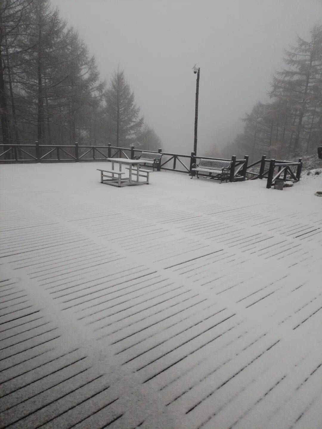 皇冠信用網登1_石家庄下雪了！河北将迎中到大雪皇冠信用網登1，未来三天……