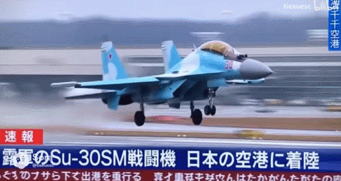 皇冠手机管理端登录_俄罗斯飞行员驾驶苏-30叛逃日本皇冠手机管理端登录？到底是怎么回事？